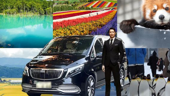 北海道旭山動物園美瑛青池精靈露台一日遊【送旭山動物園門票】