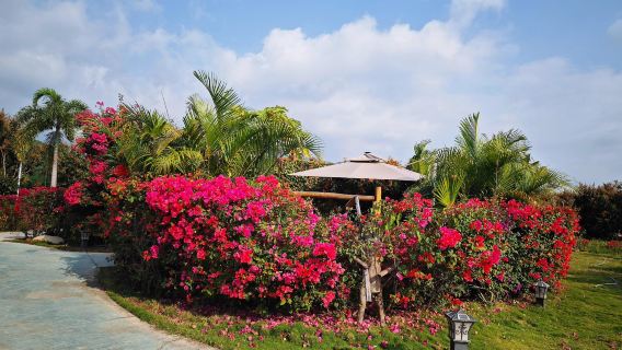 однодневный тур в Дунфан: долина Хуанхуали, рыбий хребет и крокодиловая ферма - доступно обслуживание на английском языке