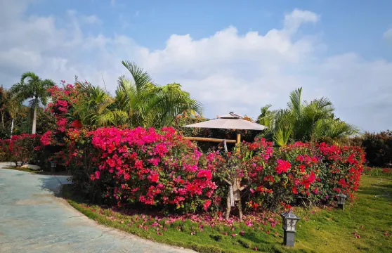 海南東方市海南花梨谷+魚鱗洲+鱷珍鱷魚園一日遊-可中英文服務