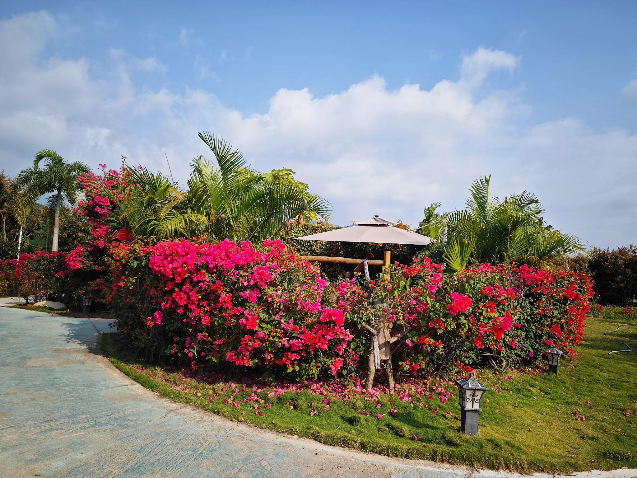 Hainan Dongfang Day Tour: Hainan Rosewood Valley + Yulin Cape + Ezhen Crocodile Park (Chinese and English Services Available)