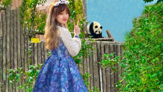 Tour di un giorno a Dujiangyan e alla Valle dei Panda [opzione per piccolo gruppo di 15 persone + guida professionale | biglietto d'ingresso incluso]