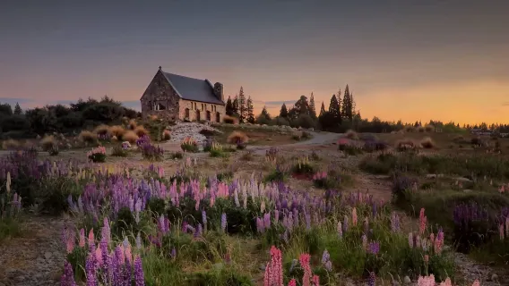 Tur Berpemandu Kelompok Kecil Christchurch, Gunung Cook, dan Tekapo (Termasuk Makan Siang, Tur Bahasa Inggris)