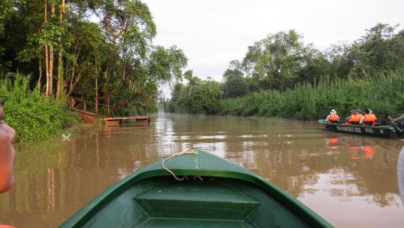 Sandakan: Sukau-Regenwald-Wildtier-Tour & Morgendämmerungs-Kreuzfahrten
