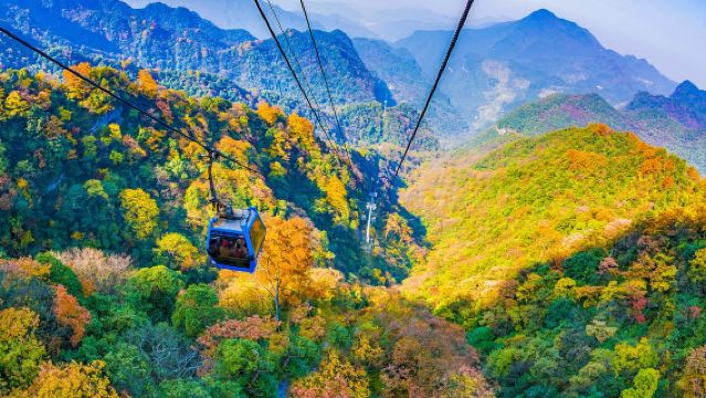 【此生必到金佛山】懸崖棧橋+原始森林+滑雪
