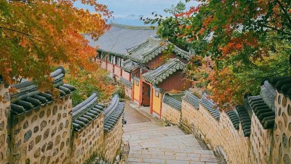 韓國釜山歷史文化深度一日遊|中文包車-梵魚寺-釜山博物館