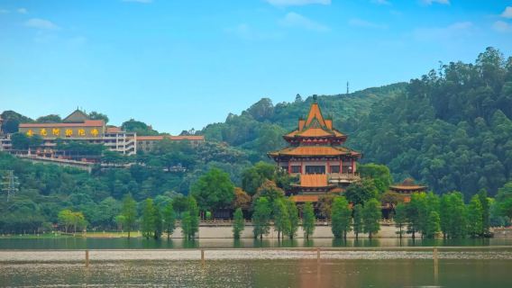 順德清暉園博物館+逢簡水鄉+順峰山+歡樂海岸一日遊|私家團上門接駁