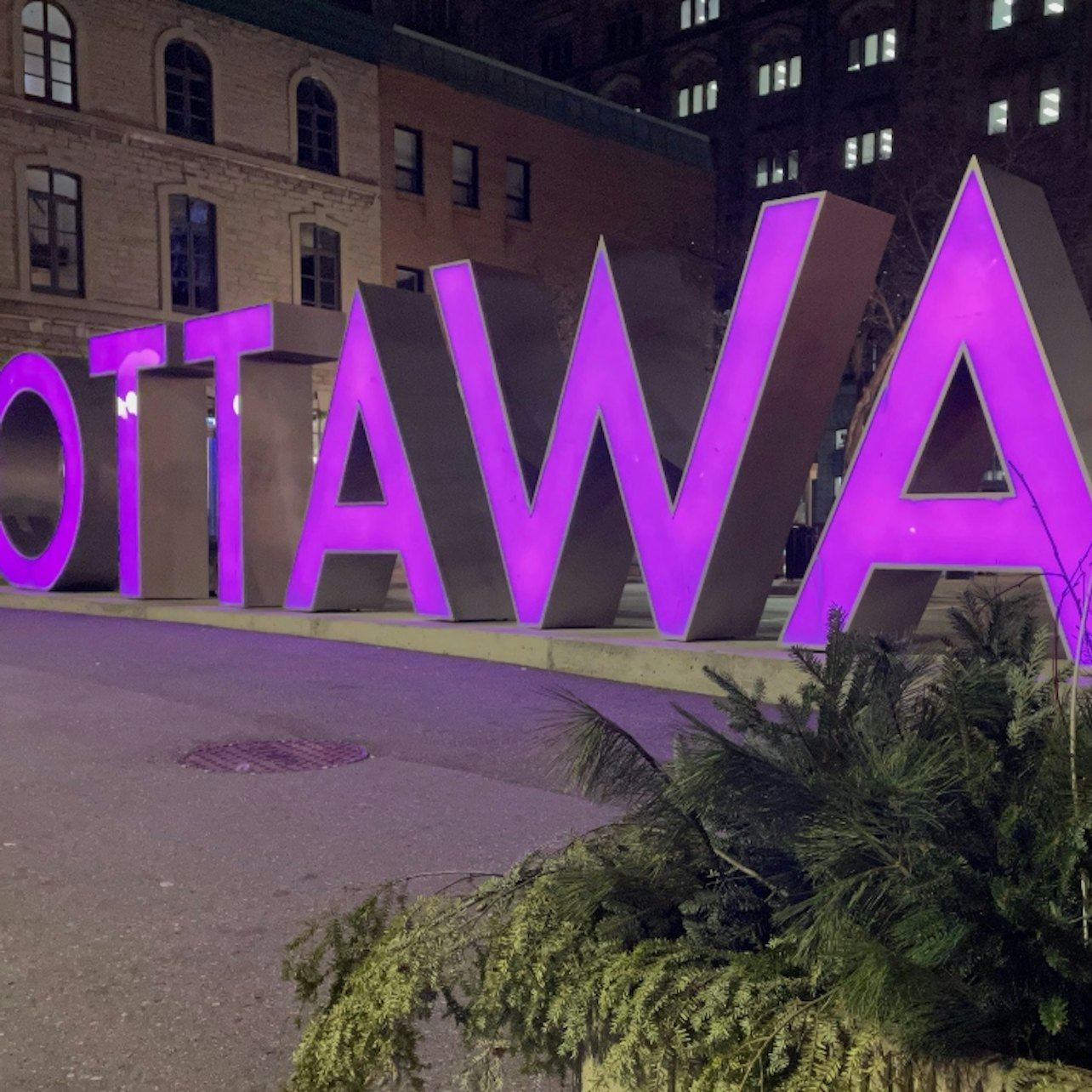 Ottawa: Taste of the ByWard Market Food Tour