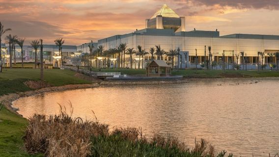 Egyptian Museum Cairo & National Museum of Egyptian Civilization: Private Tour