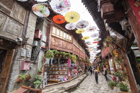 雲南旅遊|西雙版納民族風情園&曼聽御花園&野象谷&野象谷索道
