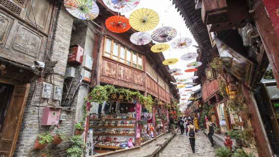 Yunnan Travel|Xishuangbanna Folk Custom Garden & Manting Imperial Garden & Wild Elephant Valley & Wild Elephant Valley Ropeway