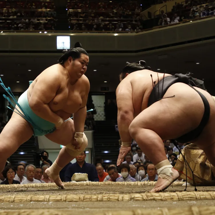 Grand Sumo Spectator Tour: Osaka Venue with Fun Sumo Merchandise