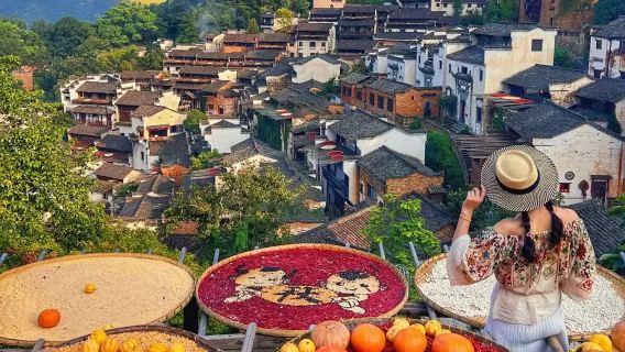 婺源篁嶺半日遊【曬秋梯田-可選6人VIP小團上午班/下午班】