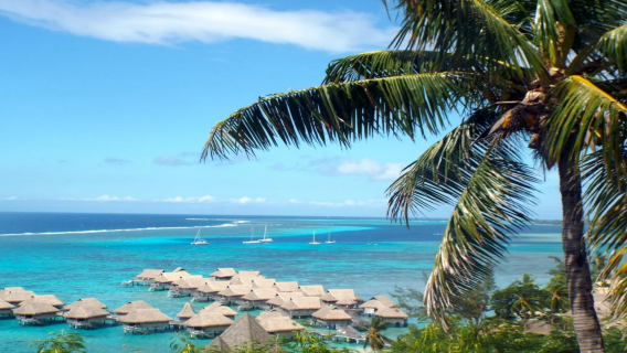 남태평양 무레아(무레아) 해변+아름다운 경관+돌고래와 함께하는 춤