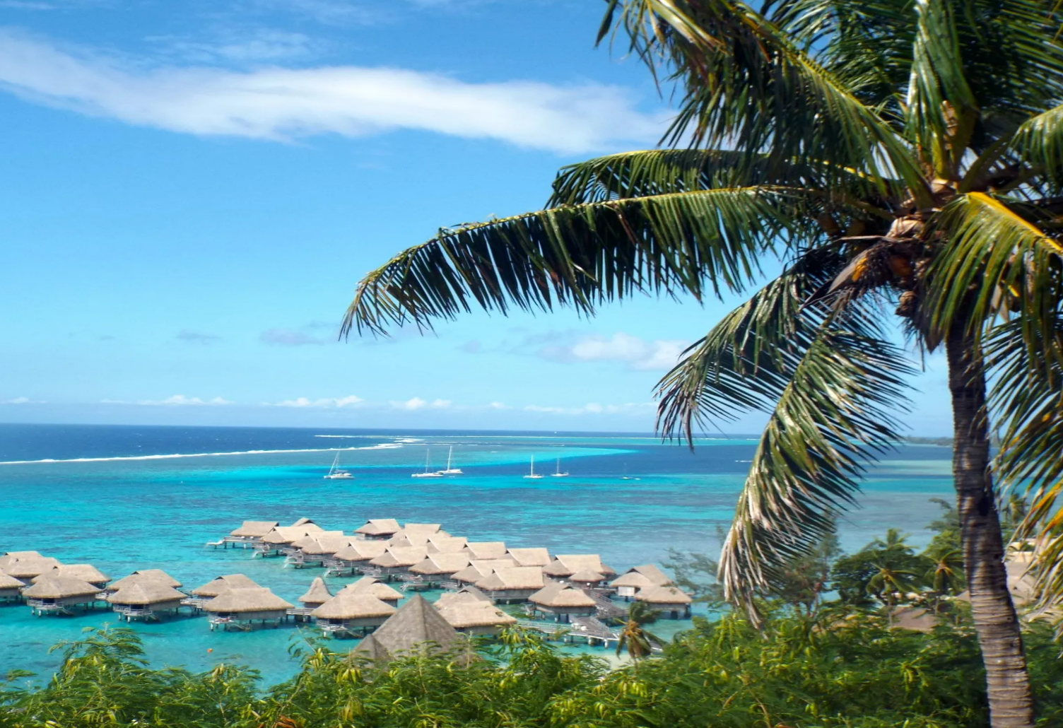 South Pacific's Moorea Island: Beaches + Scenic Views + Swimming with Dolphins