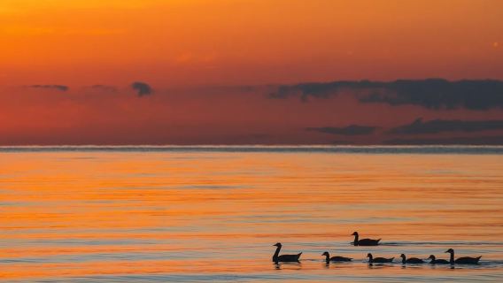 Blue Ice · Sunset · Qinghai Lake + Laji Mountain + Riyue Mountains (Sun and Moon Mountains) 1-day Tour