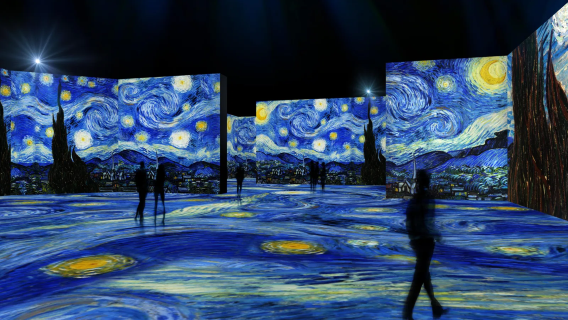 Van Gogh Museum + Canals of Amsterdam + Houseboat Museum + Architecture Museum Day Tour