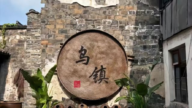 Live guided tours of Wuzhen's East and West Scenic Zones (Discover the dreamlike Jiangnan water town)