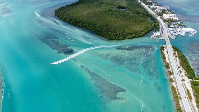 Small Group MAX14 Guests: Key West Roundtrip Day Tour from Miami Florida