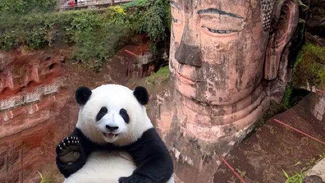 Panda Base + Leshan Giant Buddha One-Day Tour​ 2-8People Intimate Group | All-Inclusive Price | Door-to-Door Transfer