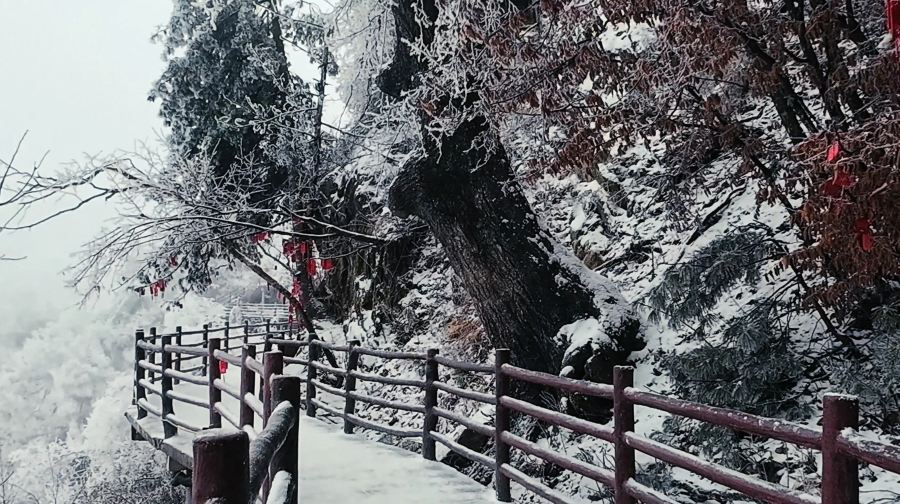 含門票私家團可看夜景上門接·老君山十里畫屏金頂純玩一日遊