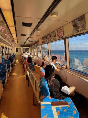 1-day tour to Izu from Tokyo: Izu Kyuko Line + Jogasaki Coast +