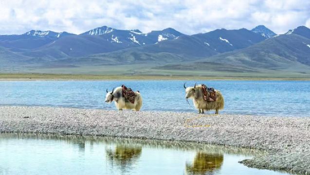 探索納木錯 打卡念青唐古喇山雪峰