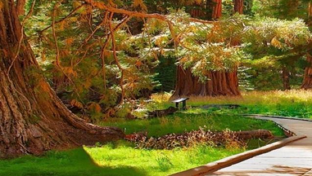 美國舊金山+優勝美地瀑布一日遊/行程可調-可定制