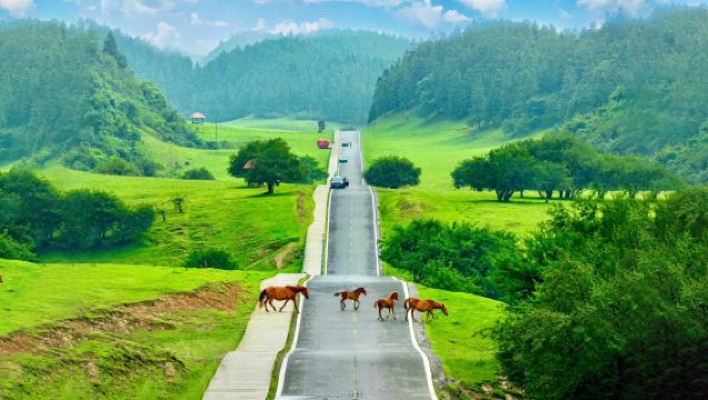 重慶-武隆一日旅遊活動【來回車費+仙女山門票+天生三橋門票+轉乘車+持證導遊+午餐】