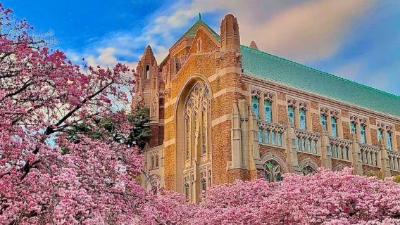 美國西雅圖-太空針塔-派克市場-行程可訂製【中文包車自由行】