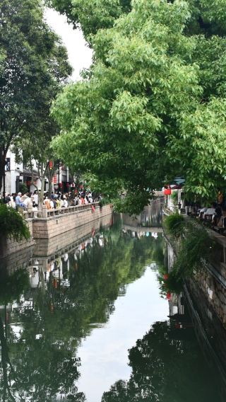 蘇州発 プライベート日帰りツアー：拙政園＆周荘鎮＆平江路歴史街区