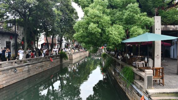 Passeio Privativo de Um Dia em Sucheu: Jardim do Humilde Administrador, Cidade de Zhouzhuang e Rua Pingjiang