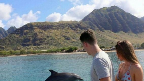 O'ahu: Dolphin Watching Cruise, Zipline, Snorkeling + Lunch & Drinks