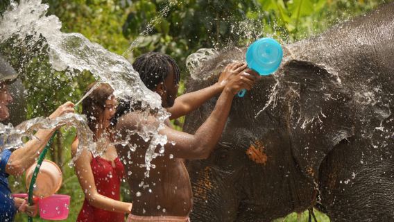 Ko Samui District olifantenmodderbad Spa - een fantastisch en leuk avontuur