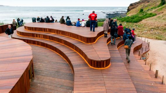 Phillip Island: Penguin Parade Ticket - Penguins Premium