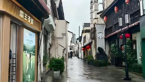 Yeryüzündeki Cennet: Şanghay'dan Yüksek Hızlı Trenle Hangzhou'ya Bir Günlük Seyahat