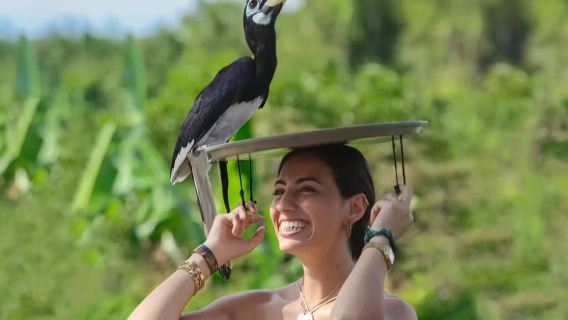 Passeio privativo em família de um dia em Bali | Bali Zoo & Palácio de Ubud & Mercado de Arte