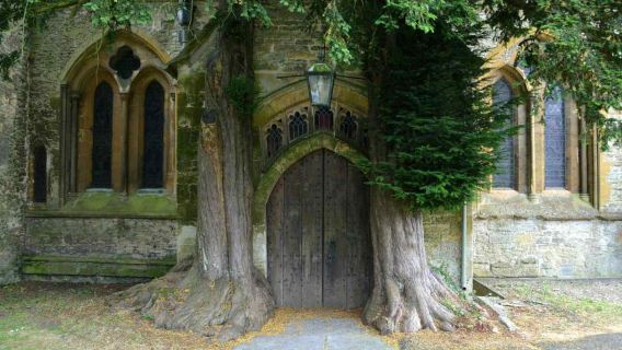 From Birmingham: Cotswolds Full-Day Tour