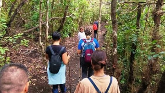 Tenerife: Senderismo Anaga, Bosque Mágico, Reserva Biosfera