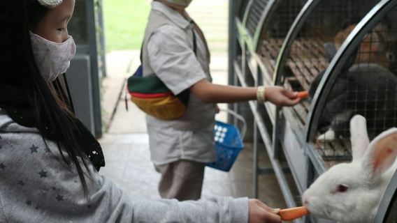 Jendela Alam Bandung: แพ็คเกจสนุกกับการทำฟาร์ม + ตั๋วเข้า