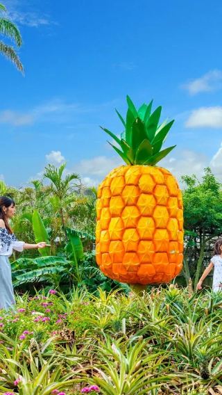 Japan Okinawa north custom trip | Cape Manzamo + Ryukyu Mura + Nago Pineapple Park + Kouri Ocean Tower