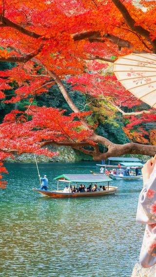 Kyoto & Nara 1-day tour | Nara Park + Fushimi Inari + bamboo forest path + optional romantic train