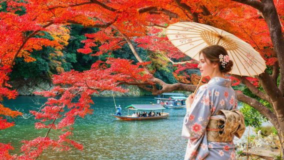 京都&奈良一日遊丨奈良公園+伏見稻荷+竹林小徑+可選浪漫火車