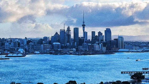 Auckland sewaan peribadi Bahasa Cina | lawati tempat viral - Mission Bay + Sky Tower [5/10 jam]