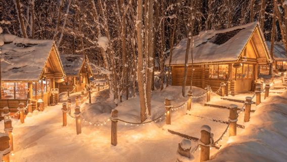 Excursion d'une journée au zoo d'Asahiyama, à la terrasse des elfes de la forêt, à la cascade de Shirahige et à Furano à Hokkaido