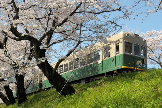 嵐電 & 京都地鐵一日乘車券
