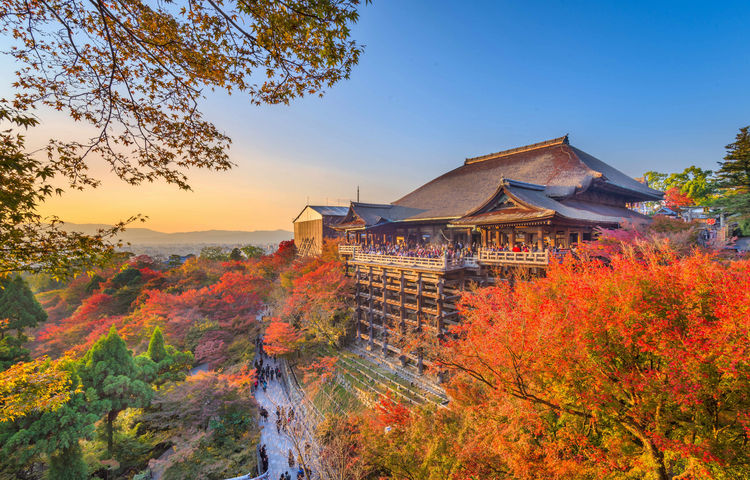日本奈良公園+京都清水寺+伏見稻荷大社一日遊，餵萌鹿，看古寺