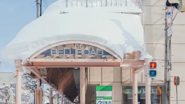 日本札幌來回室蘭地球岬-可札幌登別富良野美瑛北海道包車-精選