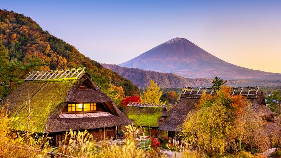 TokyoTours