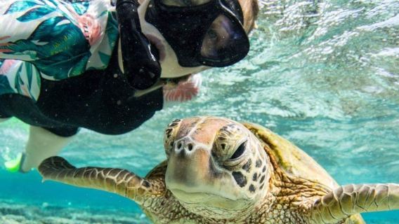仙本那馬達京汀巴汀巴島邦邦島一日遊可選深潛 1V1/浮潛幫拍照