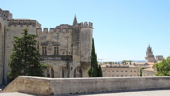 Palace of the Popes & Gardens: Entry Ticket